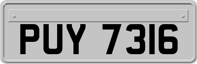 PUY7316