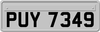PUY7349