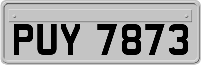 PUY7873