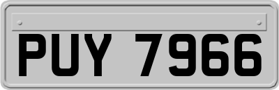PUY7966
