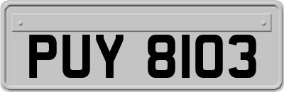PUY8103