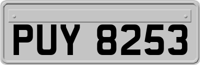 PUY8253