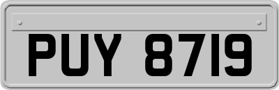 PUY8719