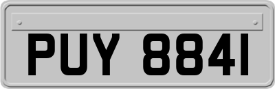 PUY8841