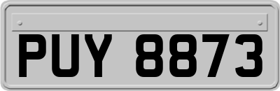 PUY8873