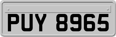 PUY8965