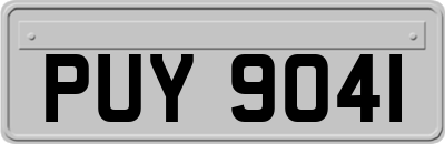 PUY9041