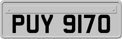 PUY9170