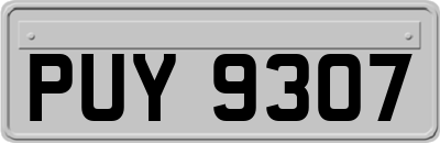 PUY9307