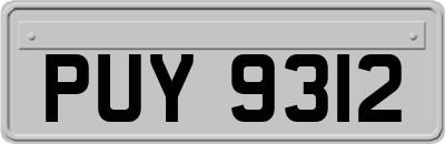 PUY9312