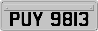 PUY9813