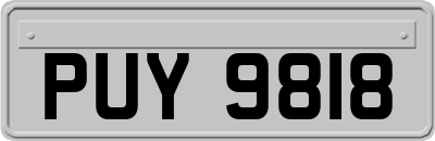 PUY9818