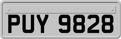 PUY9828