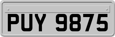 PUY9875