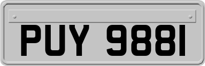 PUY9881