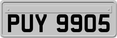 PUY9905