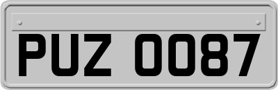 PUZ0087