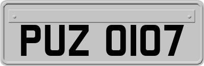 PUZ0107