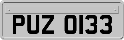 PUZ0133