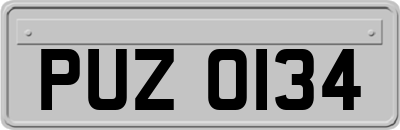 PUZ0134