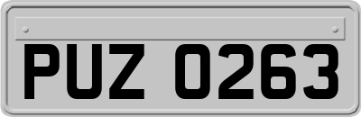 PUZ0263