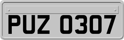 PUZ0307