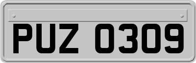 PUZ0309