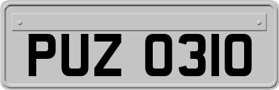 PUZ0310