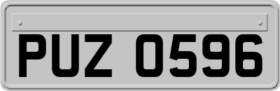 PUZ0596