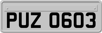PUZ0603