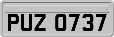 PUZ0737