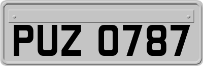 PUZ0787