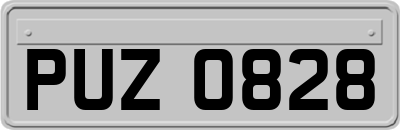 PUZ0828