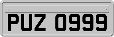 PUZ0999