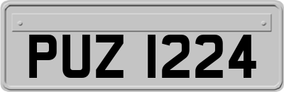 PUZ1224