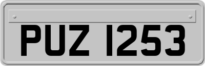 PUZ1253