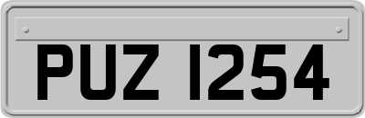 PUZ1254