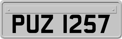 PUZ1257