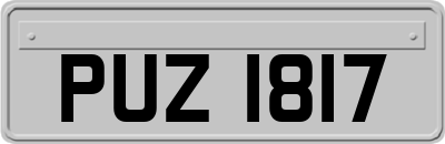 PUZ1817