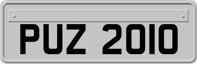 PUZ2010