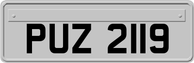 PUZ2119