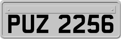 PUZ2256