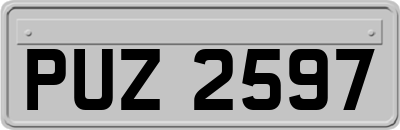 PUZ2597