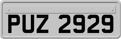 PUZ2929
