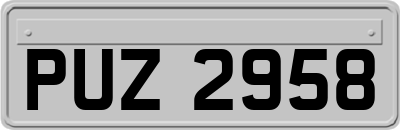 PUZ2958