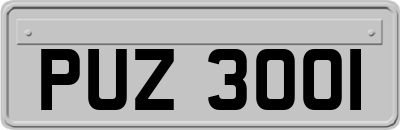 PUZ3001