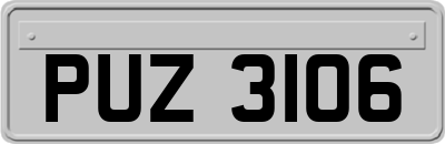 PUZ3106