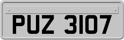 PUZ3107