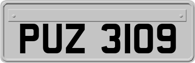 PUZ3109