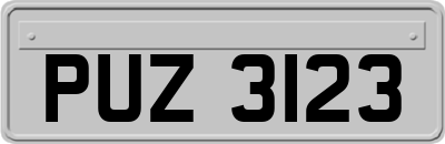 PUZ3123
